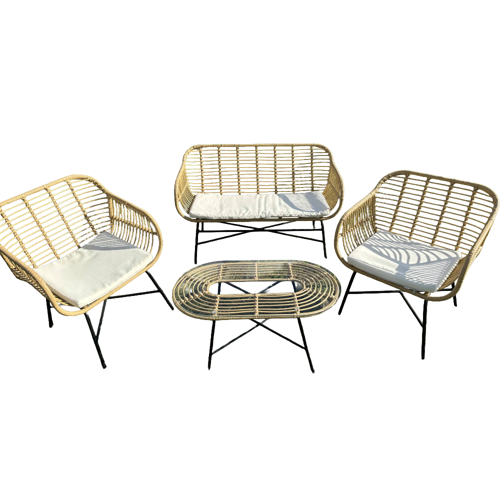 Salon Rotin Fauteuil Canape